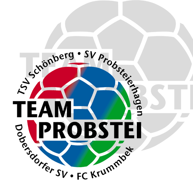 Logogestaltung Fussball Team Probstei