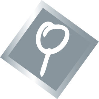 Illustration Pinnadel