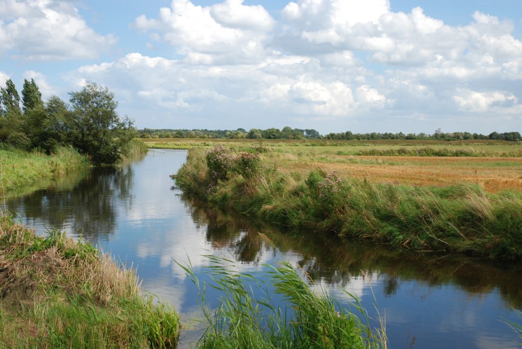 Au bei Heidkate im Sommer